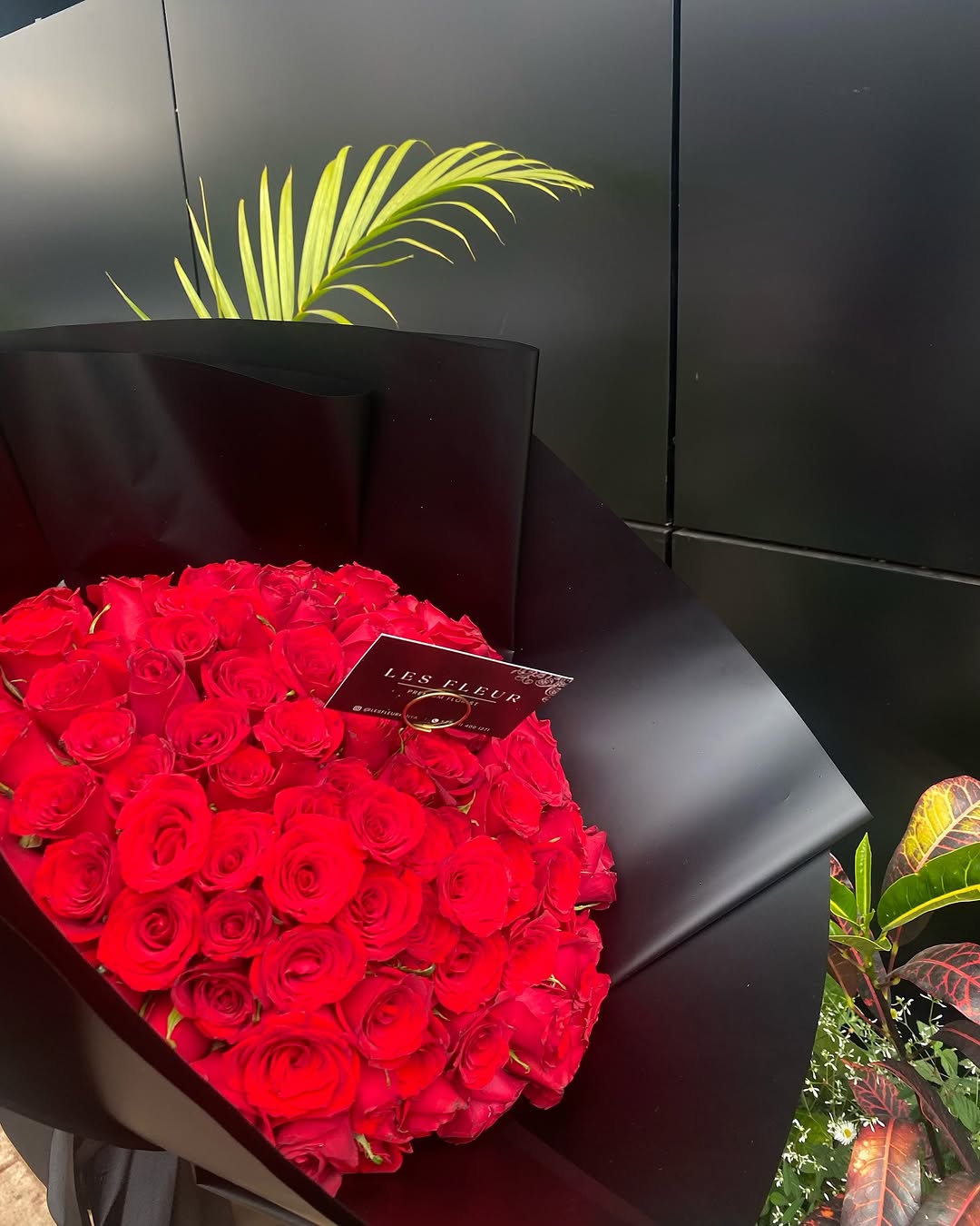 Midnight Velvet – LF 100 Premium Red Roses - Image 2